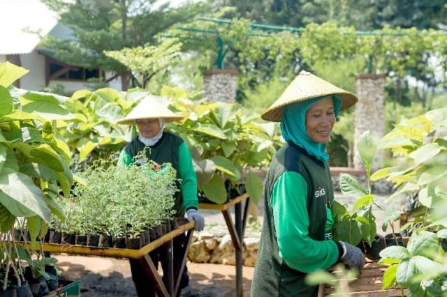 - GREEN HOUSE- Petani green belt SIG sedang merawat tanaman di green house eco park kembang semi, kawasan reklamasi lahan pasca tambang Pabrik Tuban, Jawa Timur. FOTO : IST/ANING KARINDRA/JATENG POS