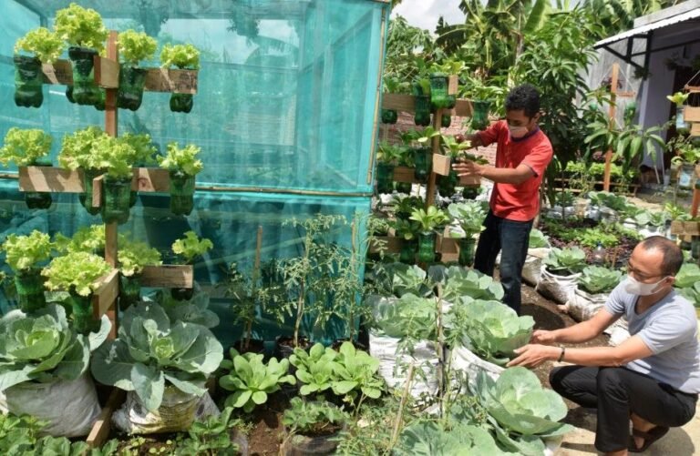 Pemanfaatan Urban Farming Perlu Diintensifkan