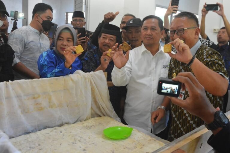 Tahu Raksasa dan 79 Variasi Makanan Kedelai Pecahkan Rekor Muri