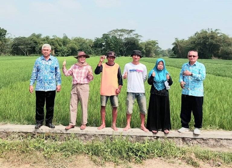 Pengembangan Model Kemitraan Closed Loop Beras Organik Melalui Fasilitasi Petani Desa Delanggu Kabupaten Klaten