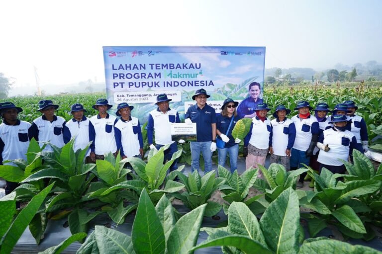 Pupuk Indonesia Sediakan Petro Ningrat untuk Petani Tembakau