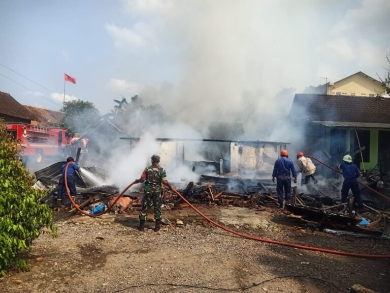 Padamkan Kobaran Api Anggota Damkar Dilarikan ke IGD