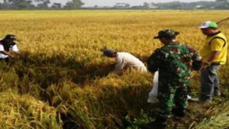 Di Sukoharjo, PDIP Juara Partai, Gerindra Juara Caleg