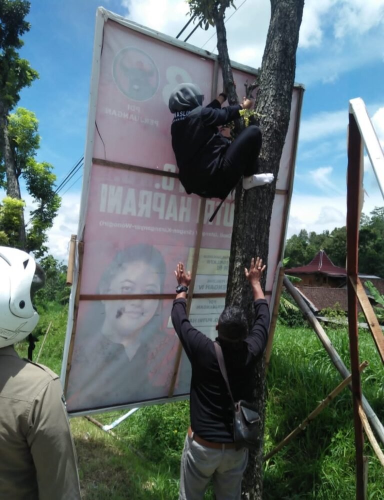 Foto Tri Winarti Panjat Pohon Bawa Bawaslu Karanganyar Raih Penghargaan