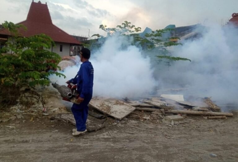 Dinkes Demak Nyatakan Berantas Demam Berdarah dengan Fogging Tidak Efektif