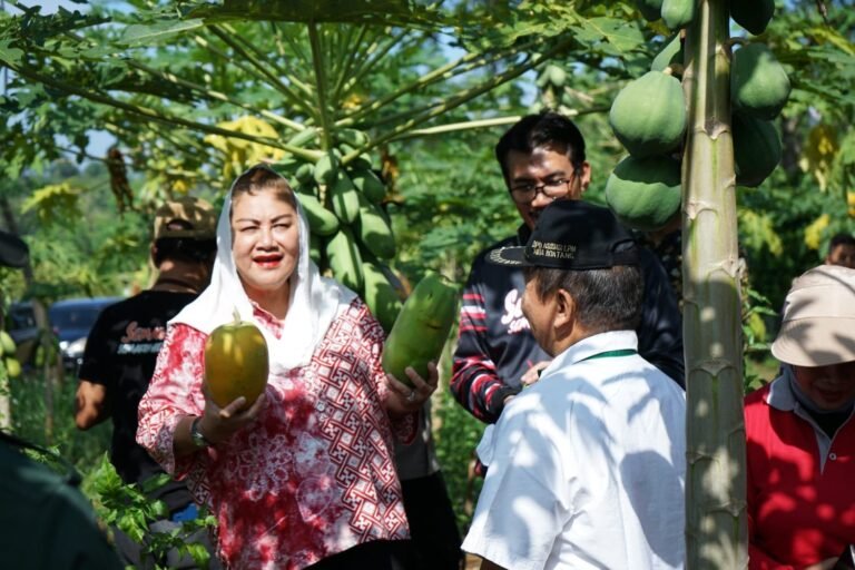 Dorong Pengembangan Sistem Pertanian Terpadu