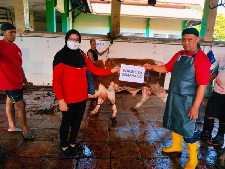 Wali kota Semarang Sumbang Sapi Kurban di DPC PDI Perjuangan