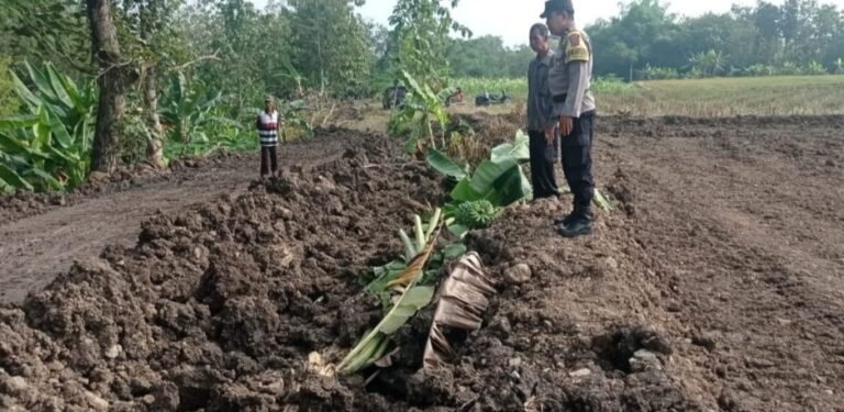 Robohkan Pohon Pisang Tetangga, Warga Sragen Diproses Hukum 