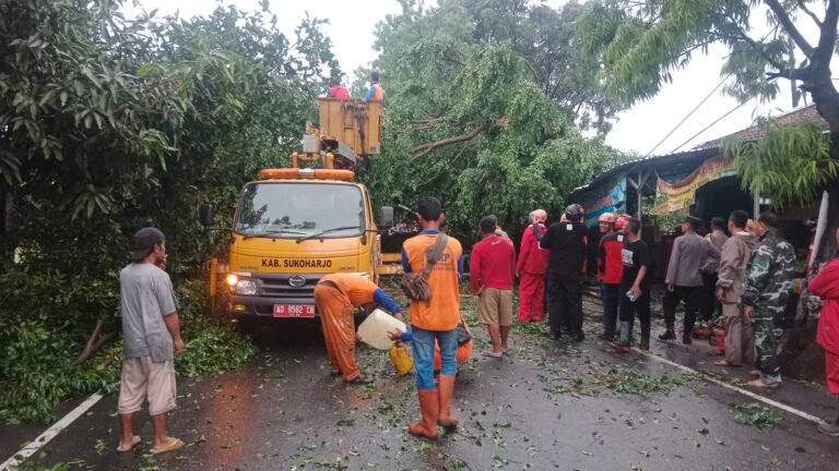 Hujan Es Angin Ribut Melanda Solo – Sukoharjo, Puluhan Pohon Tumbang dan Rumah Rusak