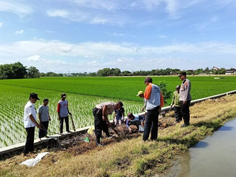 Polisi Grobyok Hama Tikus