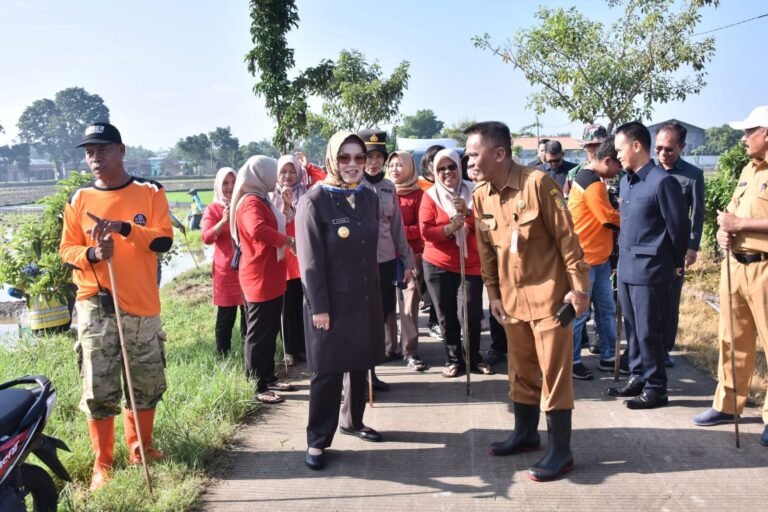 Bupati – Dandim Sukoharjo Pimpin Gropyokan Hama Tikus