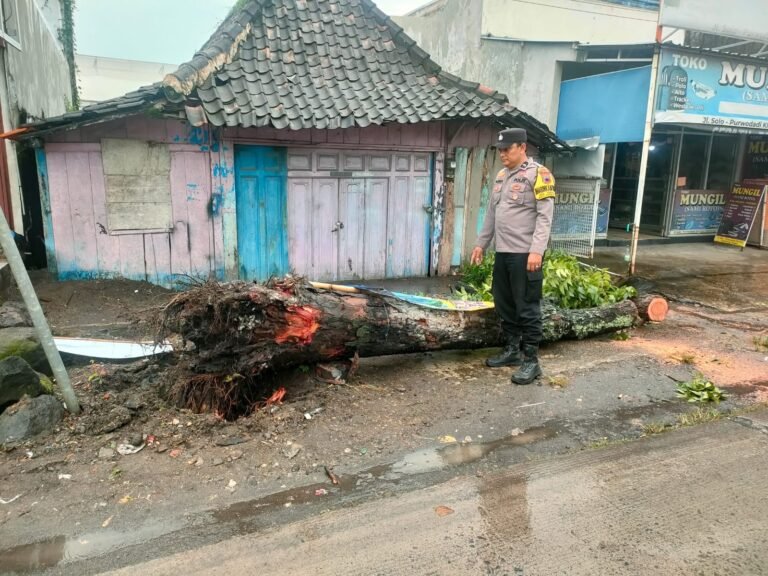 Pohon Tumbang Timpa 3 Pengendara Motor