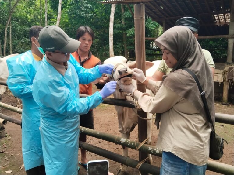 Pemprov Jateng Berupaya Atasi Merebaknya Penyakit Mulut dan Kuku