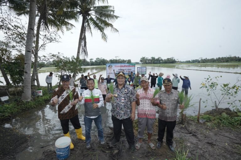SBI dan Pemkab Cilacap Dukung Riset Padi Biosalin 2
