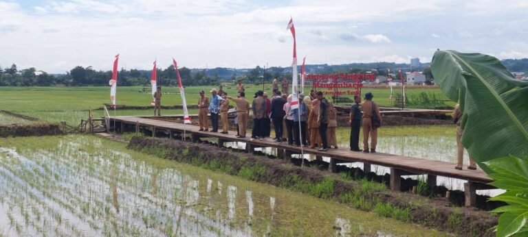Mbak Ita Optimis Kota Semarang Raih yang Terbaik Dalam Lomba Habitat Tingkat Provinsi Jateng