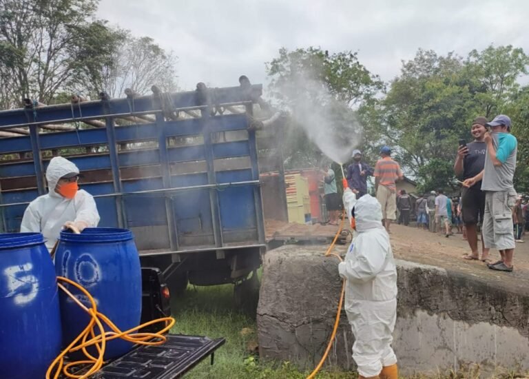 Kasus PMK di Jateng Melandai, Peternak Diimbau Tetap Waspada