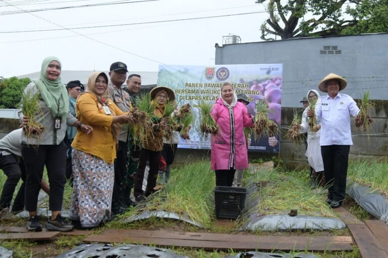 Bersama Warga Binaan Lapas, Mbak Ita Panen Bawang Varietas Bima
