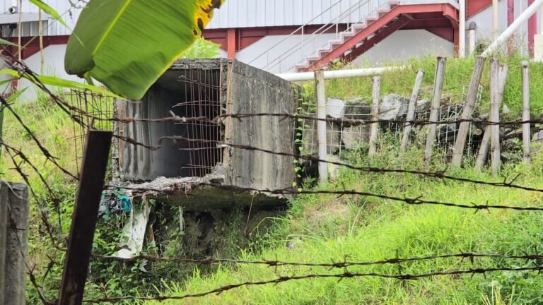 DLH Tutupi Soale Limbah PT Charoen Pokphand