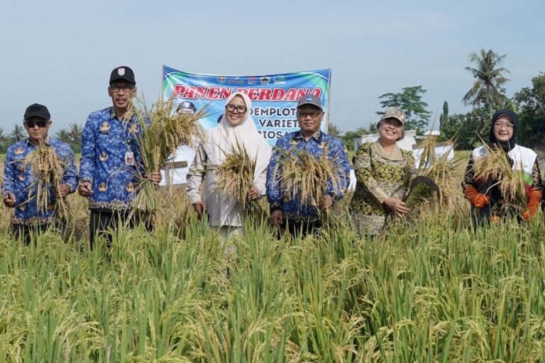 SIG dan Pemkab Cilacap Dorong Pertanian Berkelanjutan