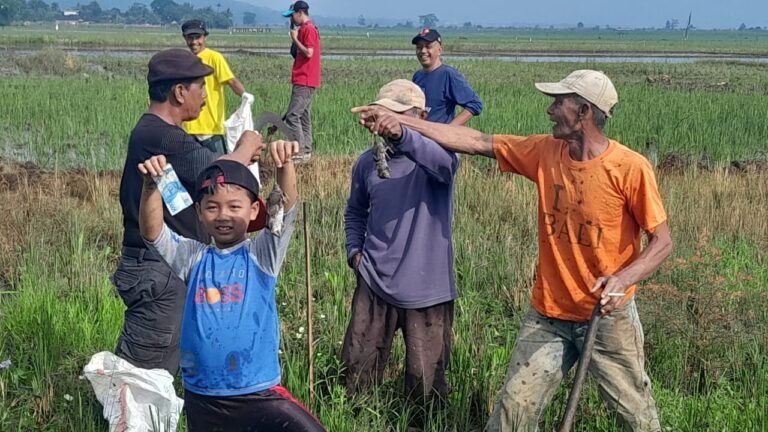 Lima Kecamatan Rame-rame Gropyokan, 4.325 Tikus Berhasil Dibasmi