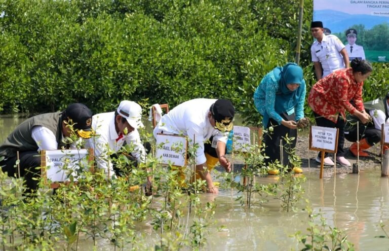 Hadang Banjir, Wagub Jateng Gabung Warga Tanam 1000 Bibit Mangrove 