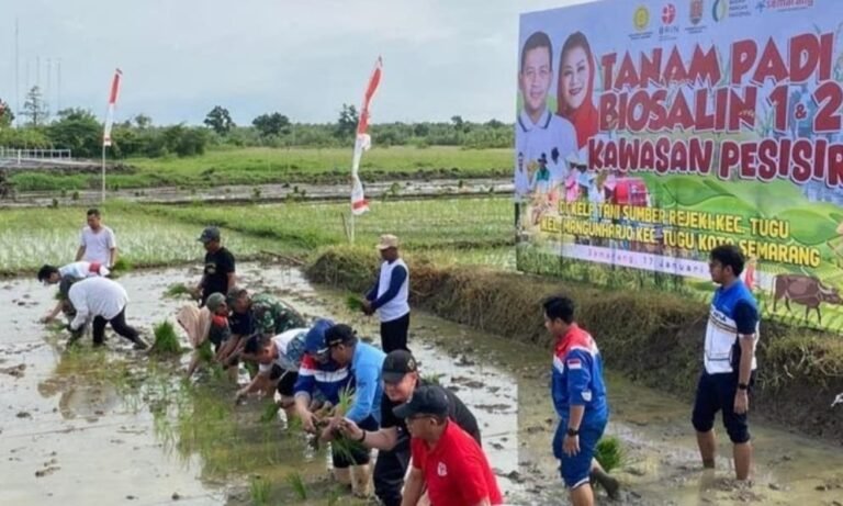 Jawa Tengah Siap Kembangkan Padi Biosalin