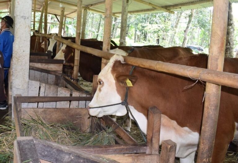 Dispangtan Salatiga Dirikan Pos Cek Hewan Kurban