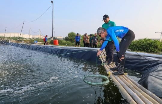 Keren, di Kawasan Industri Bisa Panen 3 Ton Udang Vaname