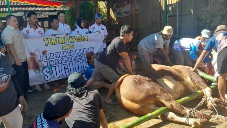 Sapi Kurban Prabowo dan Menlu Sugiono untuk Masyarakat Salatiga
