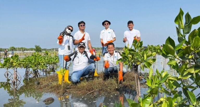 ‘Mageri Segoro’, 200.000 Mangrove Ditanam di 17 Titik Pesisir Jateng
