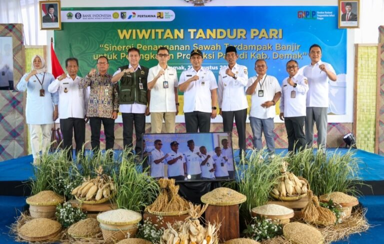 Karena Normalisasi Sungai Pemprov Jateng, Sawah 4 Desa di Demak Kini Bisa Ditanami Padi Kembali, Wagub Taj Yasin: Upaya Lintas Pihak Berhasil