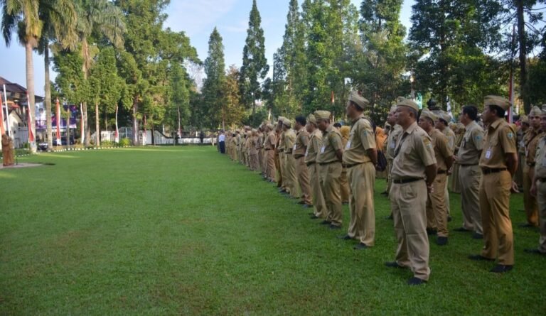 957 Non ASN Diusulkan Jadi PPPK Paruh Waktu