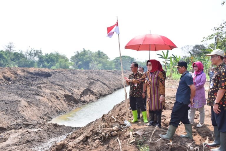 Kinerja BBWSBS Tangani Abrasi dan Kerusakan Tanggul Dinilai Lamban