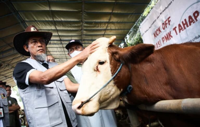 Produksi Daging di Jateng Tertinggi Kedua Nasional