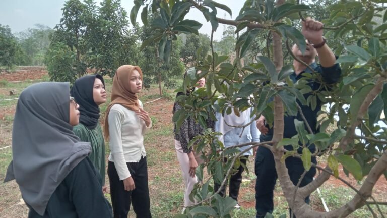 Kebun Alpukat Polokarto, Destinasi Wisata Edukasi Baru