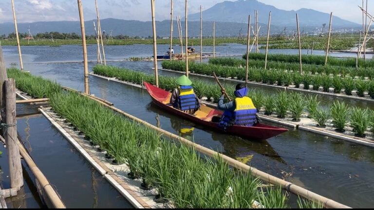 PPK Ormawa Bhumijala UNW Gerakkan Inovasi Pertanian “AGROFLOAT” Mina Padi Apung Desa Kebondowo