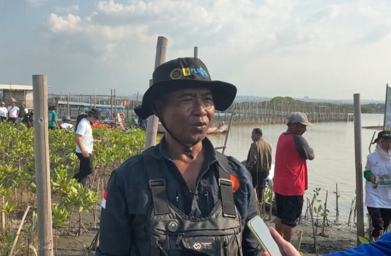 Kasno dan Komunitas Mangrove Semarang Jaga Pesisir dari Abrasi