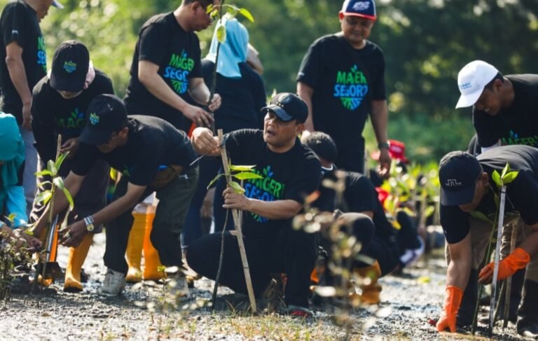 Ahmad Luthfi Pimpin Penanaman Jutaan Bibit Mangrove Secara Serentak, Catatkan Rekor Muri