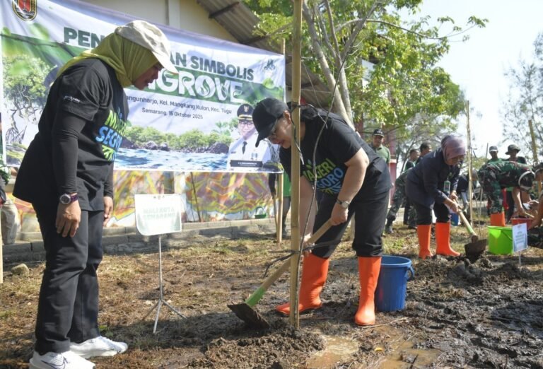 Dukung Mageri Segoro, Wali kota Semarang, Agustina Wilujeng Gerakkan Tanam Cemara Laut di Pesisir Semarang