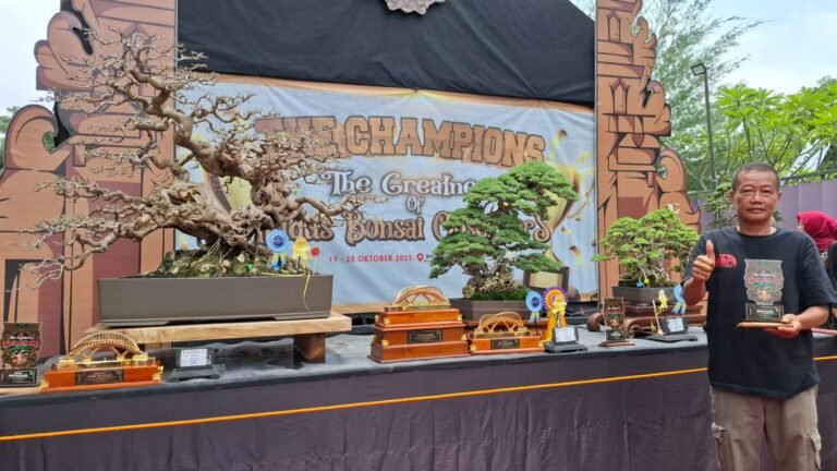 555 Peserta Ramaikan Kontes Kudus Bonsai Observers