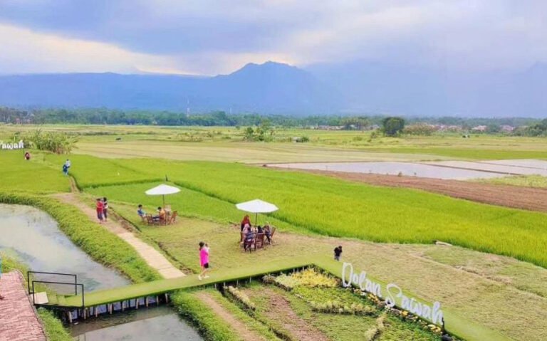 Surplus 1,5 Juta Ton Beras, Waka DPRD Optimistis Jateng Mampu Jadi Penopang Pangan Nasional