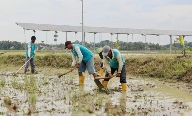 Pemprov Jateng Bantu Pompa Air Tenaga Surya Petani Cilacap, Air Mudah Hasil Melimpah