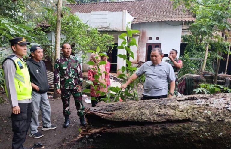 Cuaca Ekstrem, Bupati Semarang Ingatkan Waspada Pohon Tumbang dan Longsor