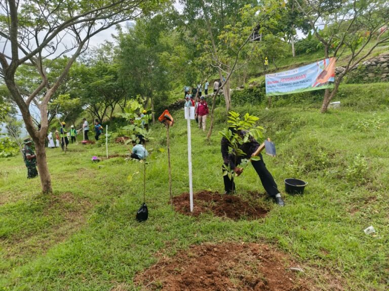 Tanam 15 Ribu Pohon untuk Jaga Habitat Monyet Ekor Panjang
