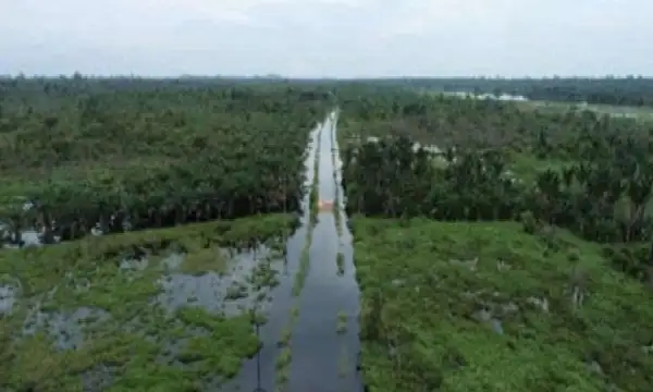 Ingatkan Dampak Alih Fungsi Lahan, Wakil Ketua DPRD Jateng Desak Pengetatan Aturan Tata Ruang