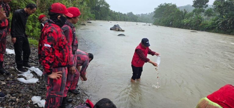HUT Megawati ke-79, 79 Ribu Benih Ikan Nila Ditebar di Kali Progo