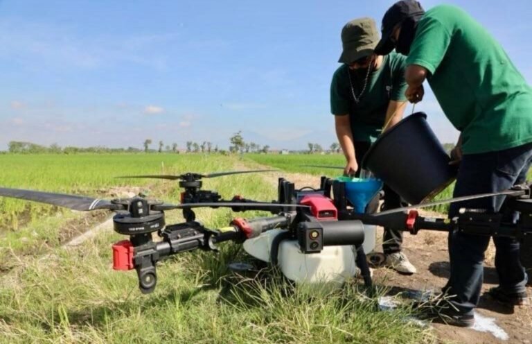 Ancaman Pidana hingga Insentif PBB, Strategi Pemprov Jateng Jaga Sawah