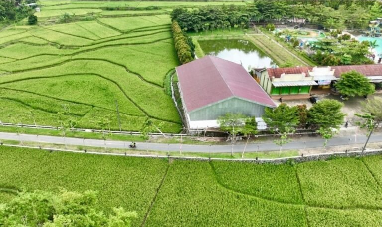 2.208 Desa di Jateng Naik Kelas jadi Desa Mandiri 