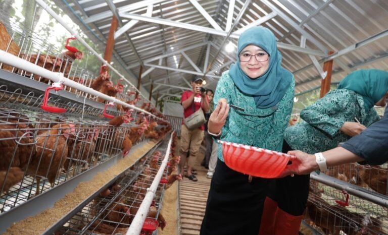Dukung Ketahanan Pangan, Ning Nawal Tinjau Peternakan Ayam di Kudus
