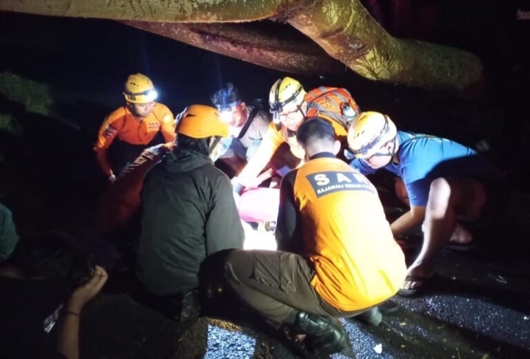 Hantam Pohon Tumbang, Remaja Meninggal Dunia